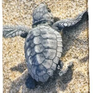 Walt USA Ark Encounter Adult Animal Socks Turtle Hatchling One Size Fits Most